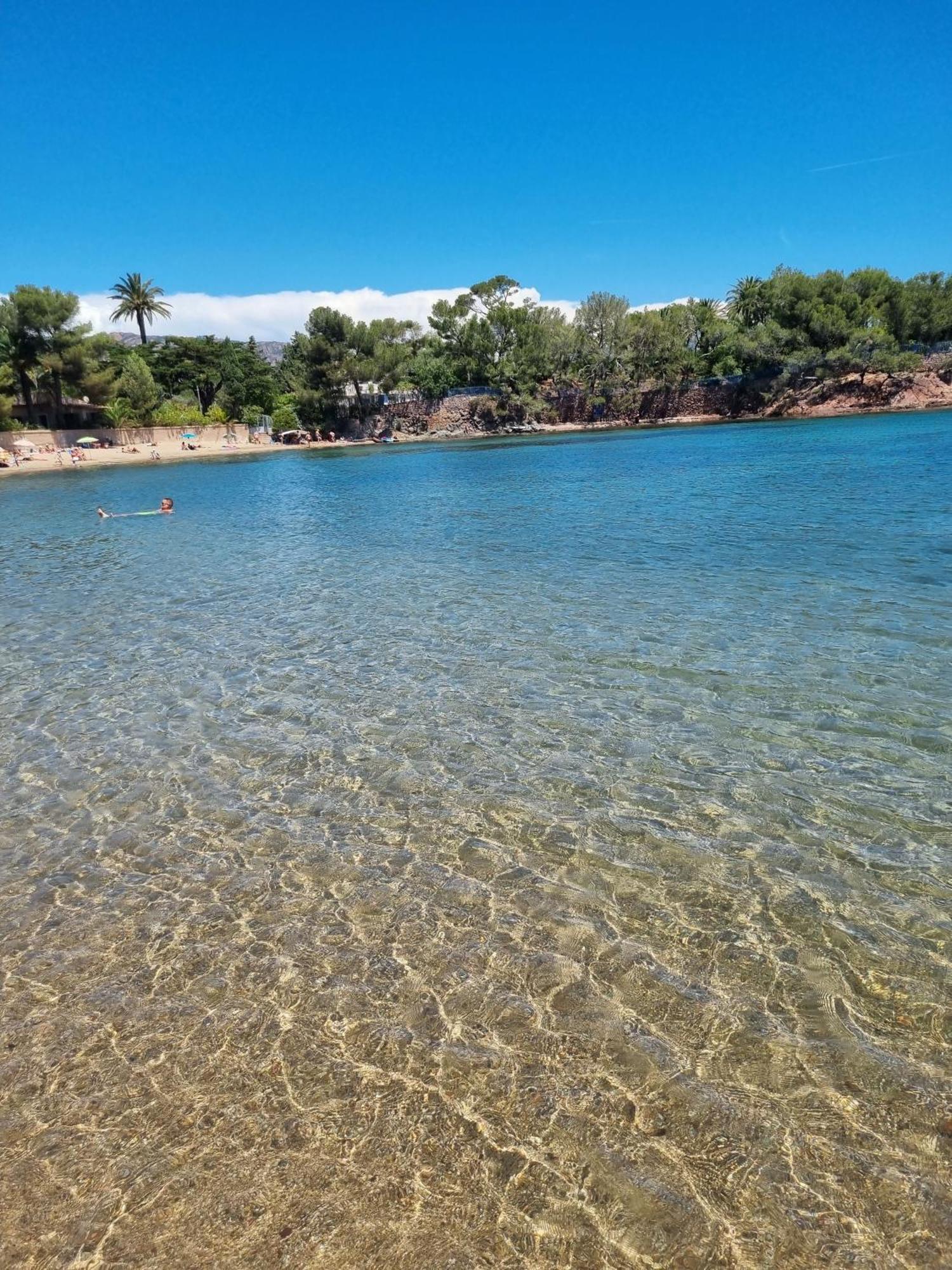 Studio 4P Vue Piscine St Raphael Valescure - Au Coeur Des Golfs Saint-Raphaël Eksteriør billede