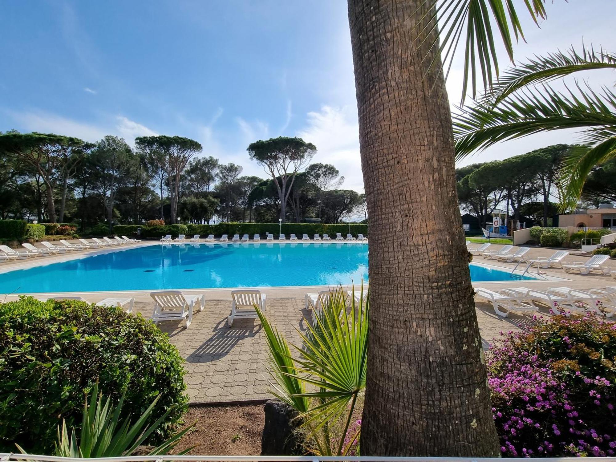 Studio 4P Vue Piscine St Raphael Valescure - Au Coeur Des Golfs Saint-Raphaël Eksteriør billede